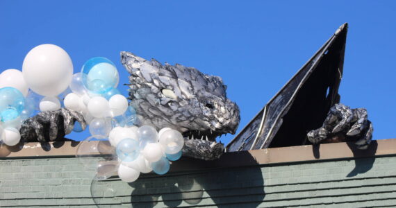 Happy Hatching month to Erasmus the Dragon. Photo by Bailey Jo Josie/Alb Media