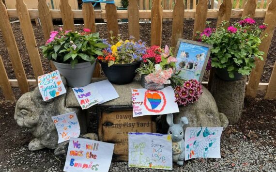 In the wake of the fire, the sanctuary has received an outpouring of flowers, cards and donations from the community. Photo courtesy of the Sammamish Animal Sanctuary.